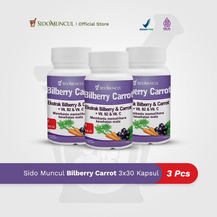 Triple Pack Sido Muncul Herbal Bilberry Carrot 30 Kapsul