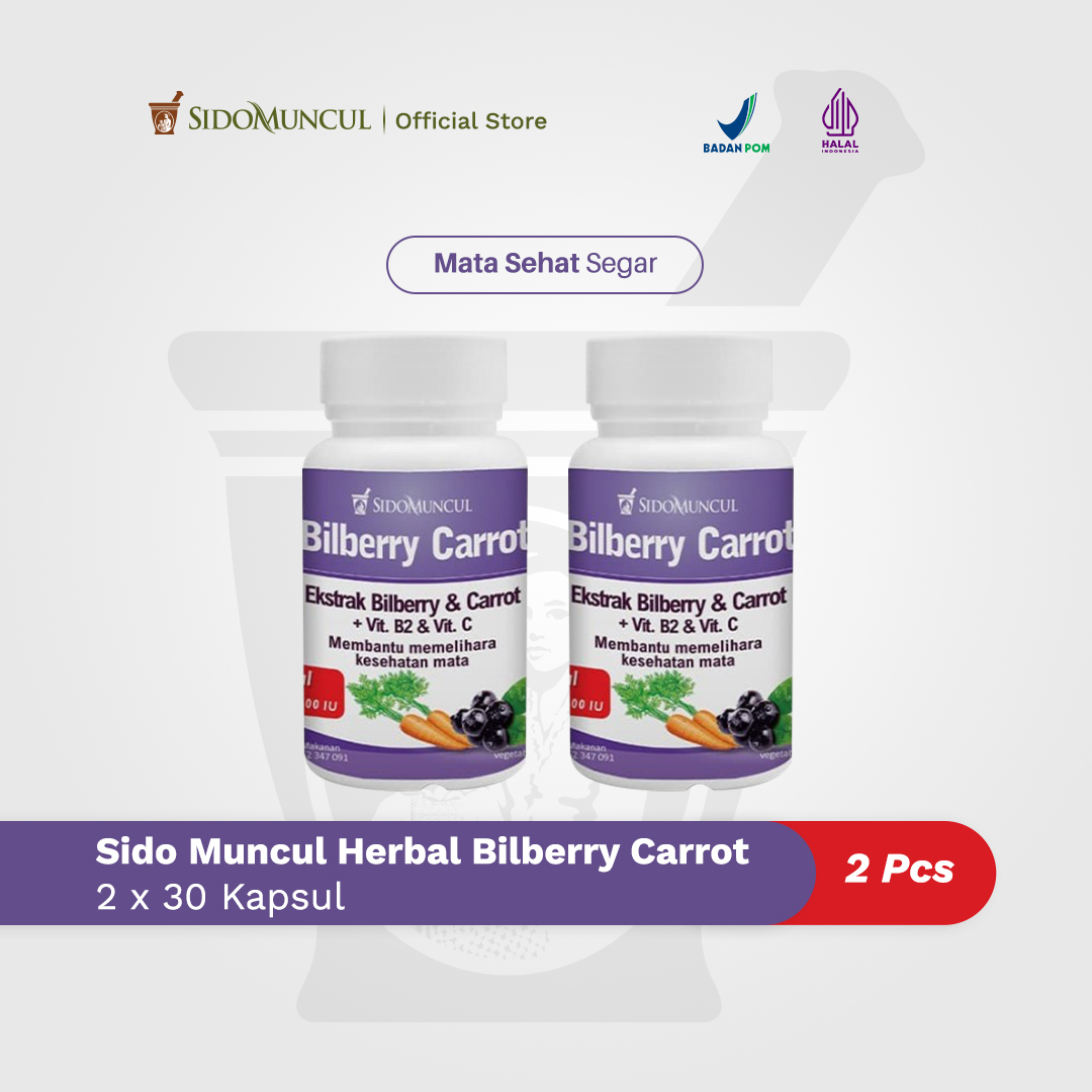 Paket Mata Sehat - Sido Muncul Herbal Bilberry Carrot 2btl Mata Segar