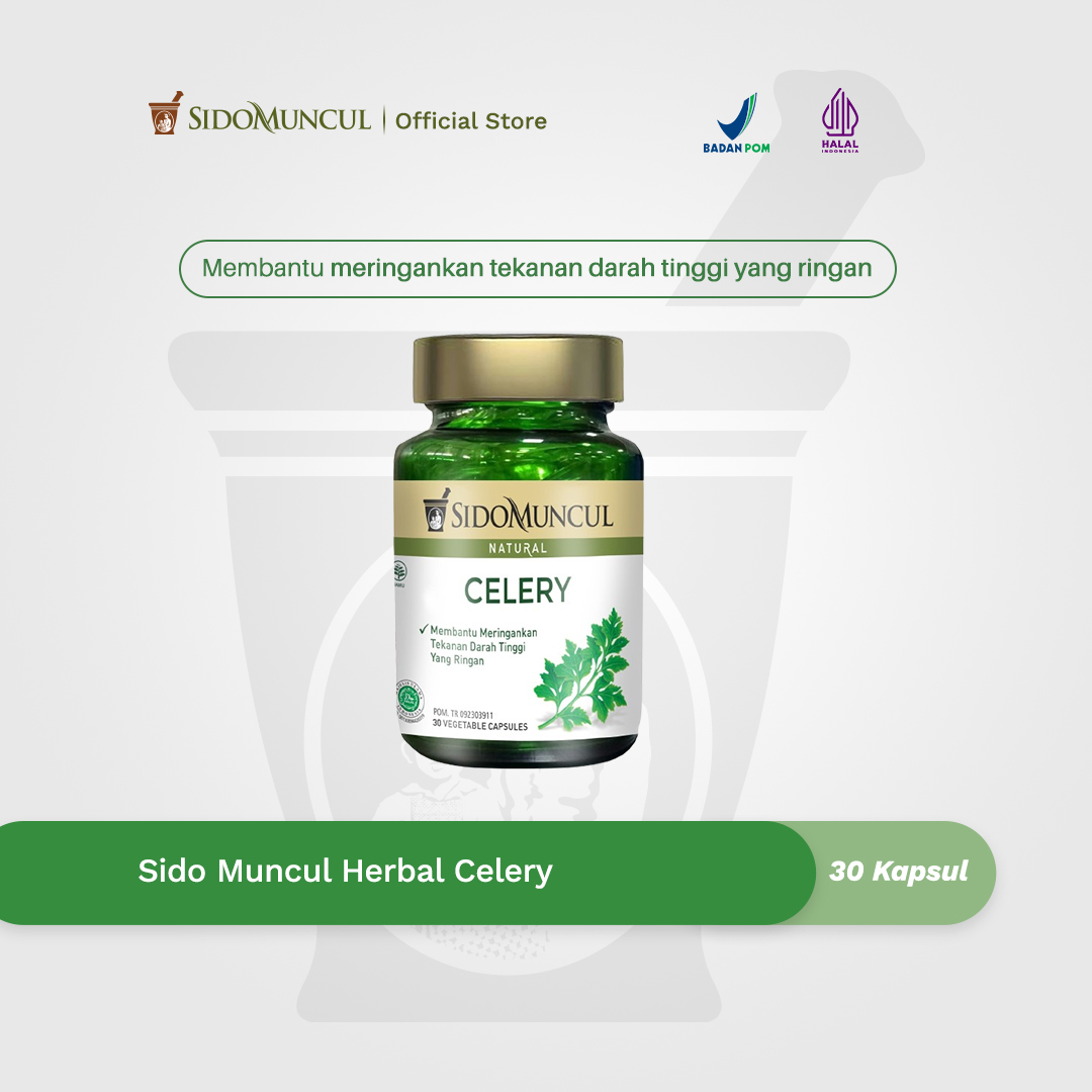 Sido Muncul Herbal Celery 30 Kapsul - Membantu Meringankan Tekanan Darah Tinggi yang Ringan