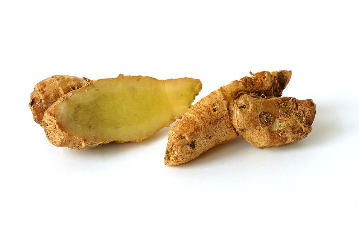 7 Manfaat Kencur untuk Wanita, Termasuk saat Haid