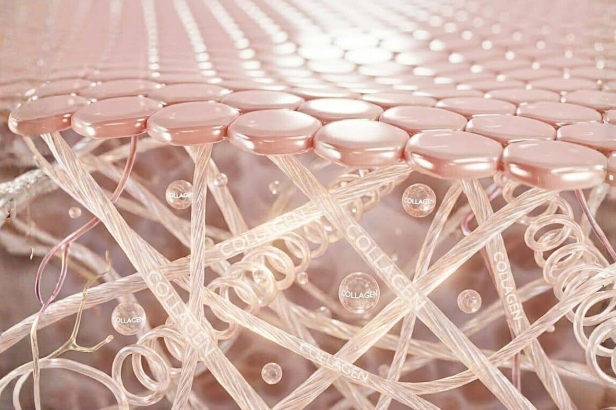 Collagen Untuk Apa? Simak Manfaat Vitalnya untuk Kecantikan dan Kesehatan Tubuh