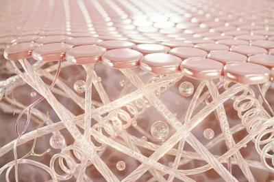 Collagen Untuk Apa? Simak Manfaat Vitalnya untuk Kecantikan dan Kesehatan Tubuh