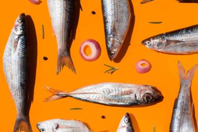 Banyak Manfaatnya, Ini Dia Rekomendasi Ikan yang Mengandung Omega 3