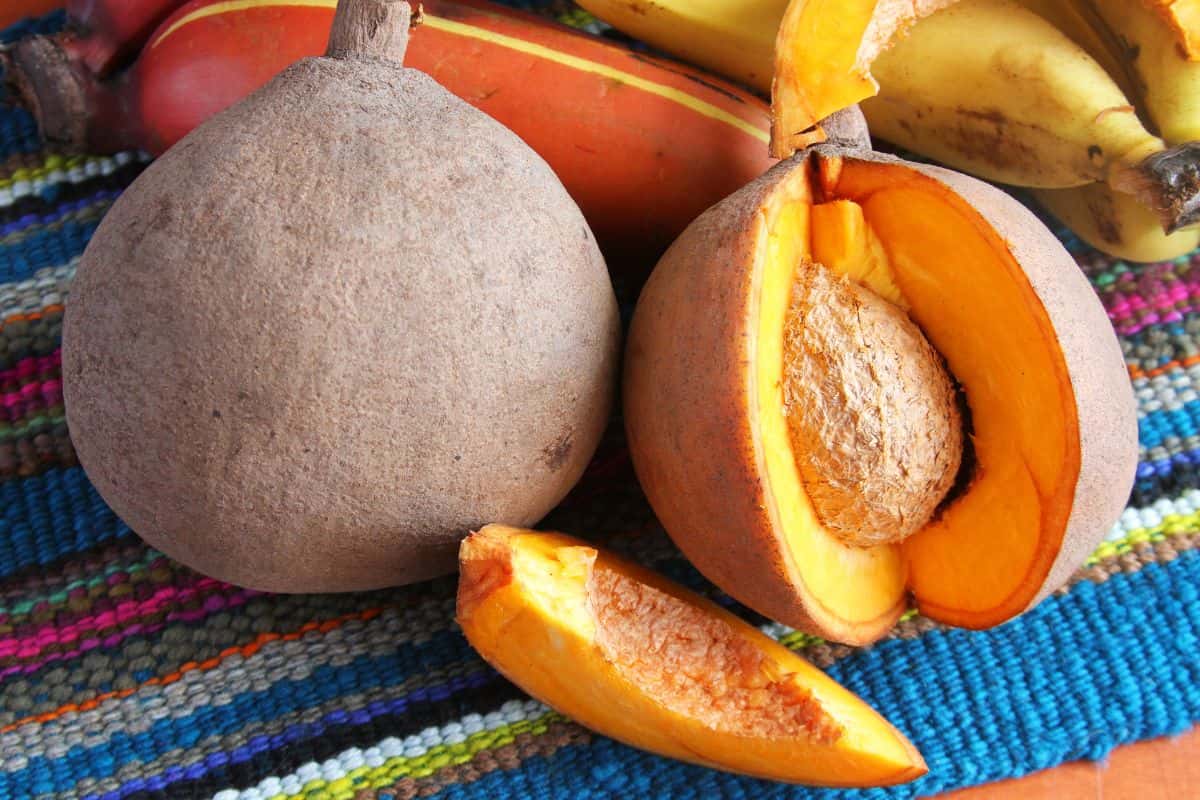 Dua buah Mamey Sapote