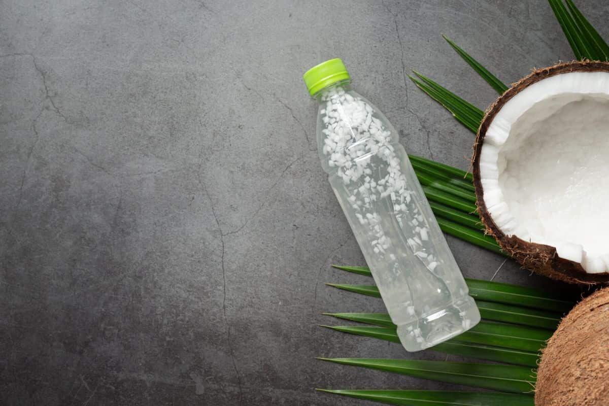 Sebotol air kelapa muda