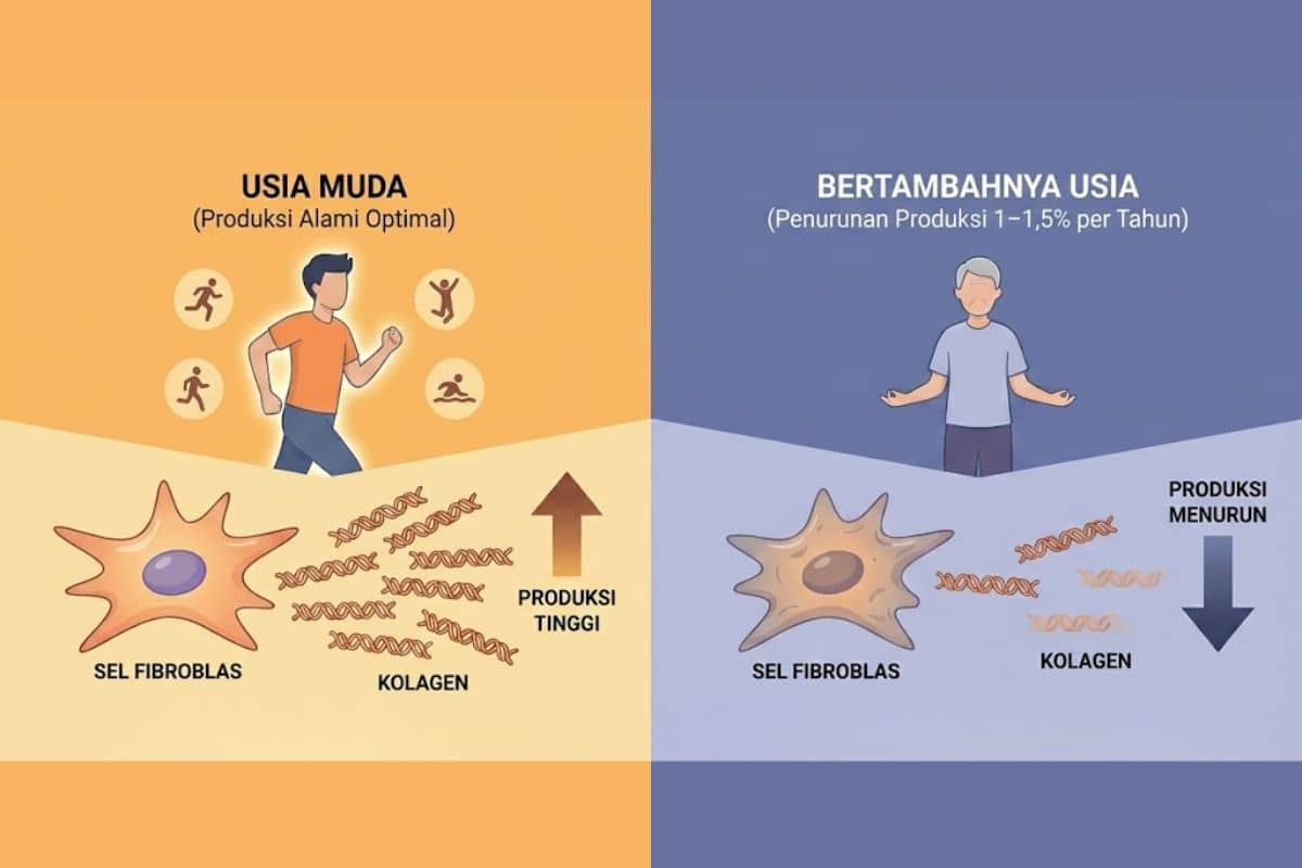 Penyebab Collagen Alami Menurun