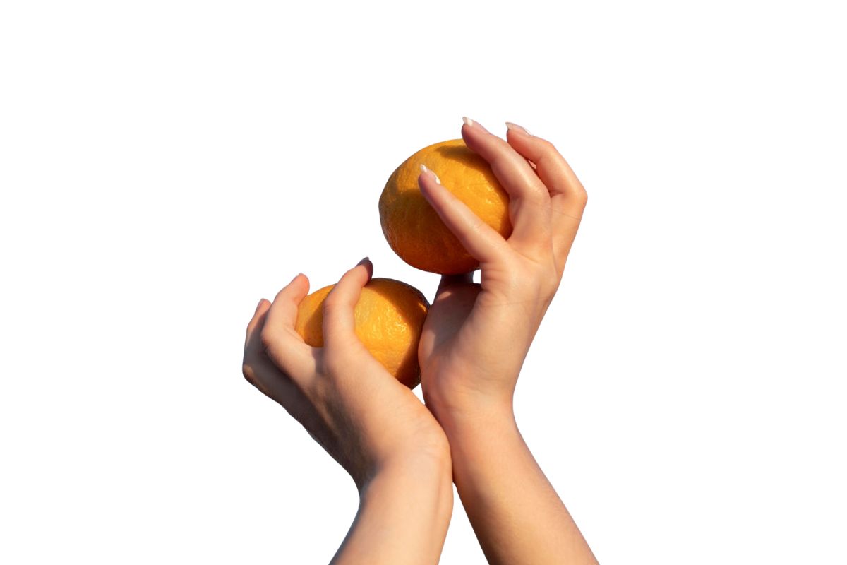 Tangan memegang dua buah jeruk