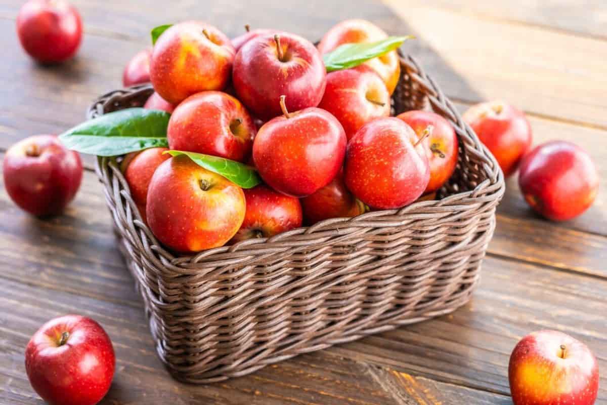 Sekeranjang buah apel