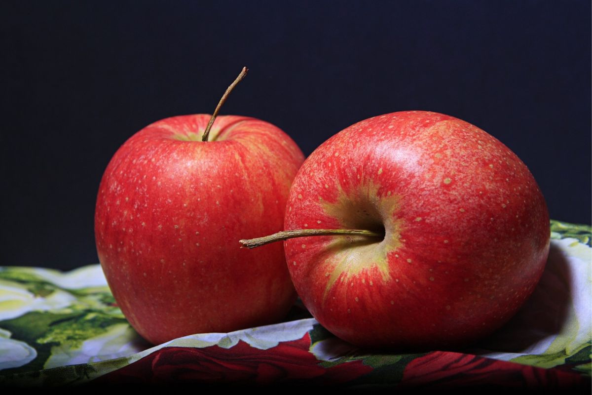dua buah apel
