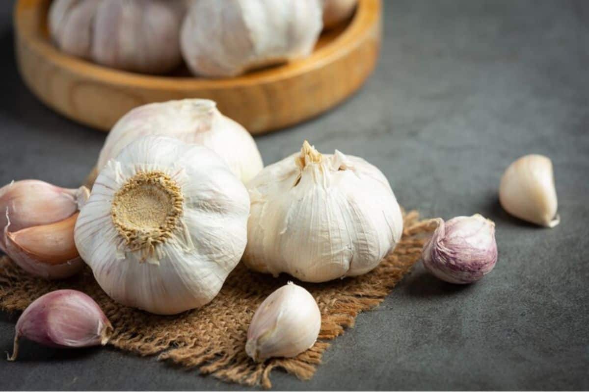 Bawang putih dengan background industrial