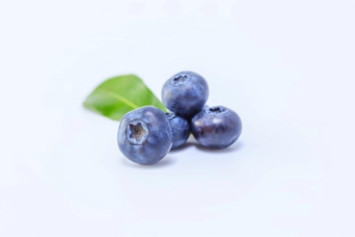 buah blueberry