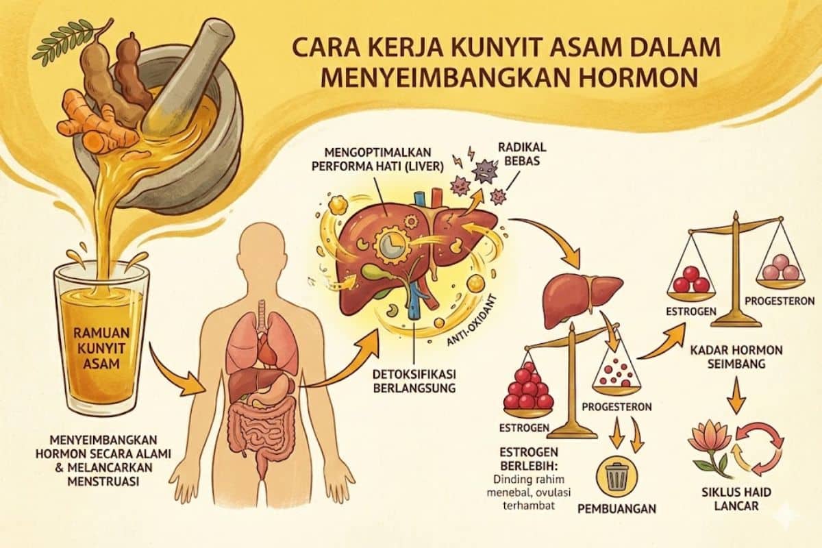 Cara kerja ramuan kunyit asam untuk menyeimbangkan hormon