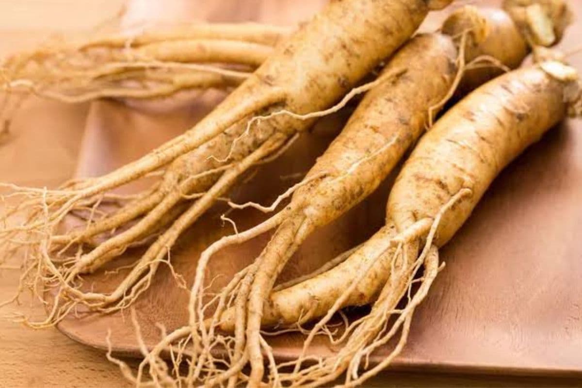 beberapa ruas ginseng