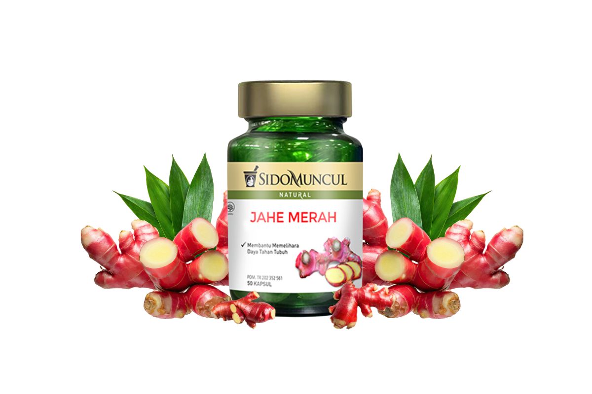 Produk Jahe Merah Sido Muncul