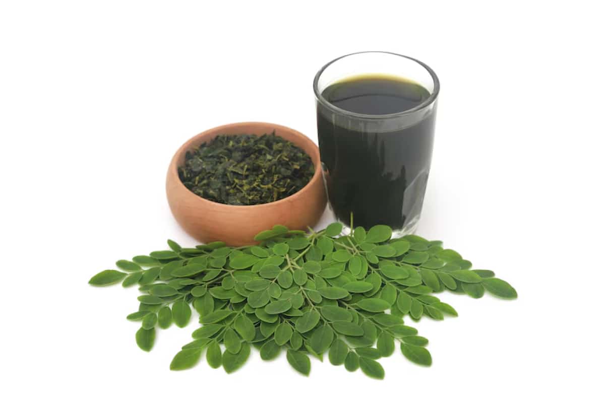 Kandungan Gizi Daun Kelor
