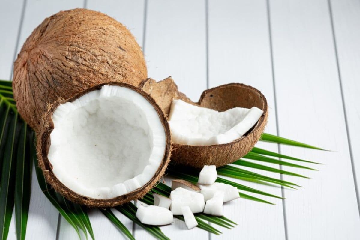 Dua buah kelapa yang sudah dikupas, satu kelapa sudah terbelah