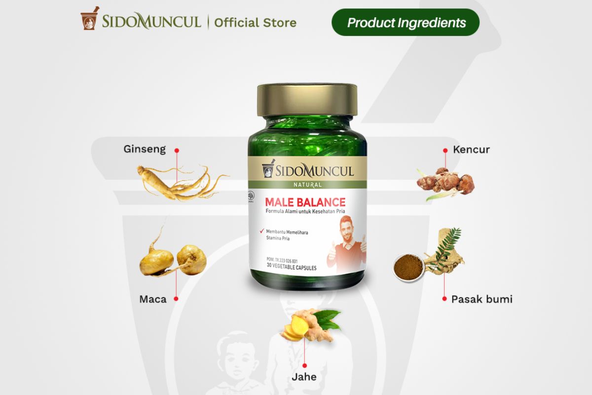 produk Sido Muncul Natural Male Balance dan komposisinya