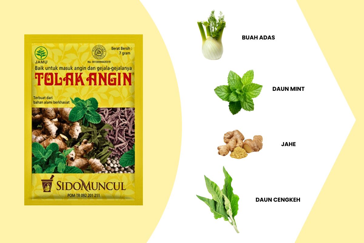 Komposisi Sido Muncul Jamu Tolak Angin