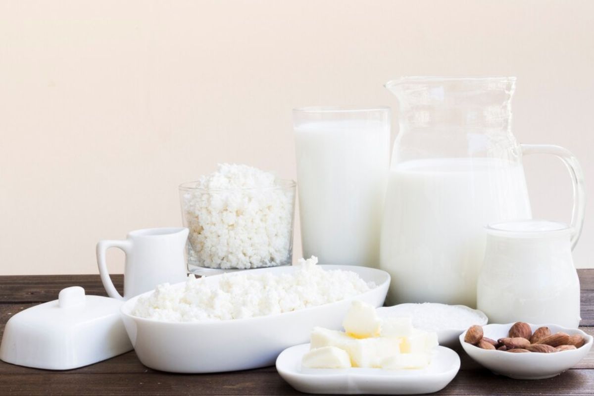 Susu dan produk olahannya