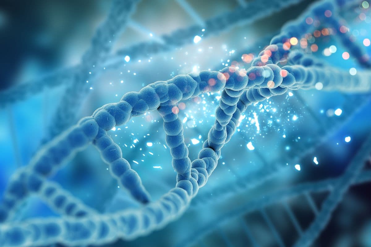 DNA dan hormon di dalam tubuh