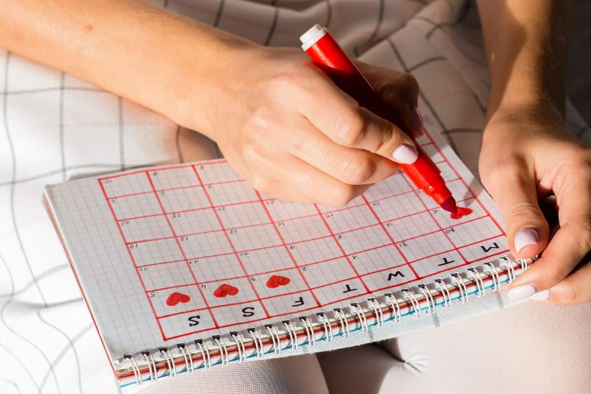 orang yang menandai kalender