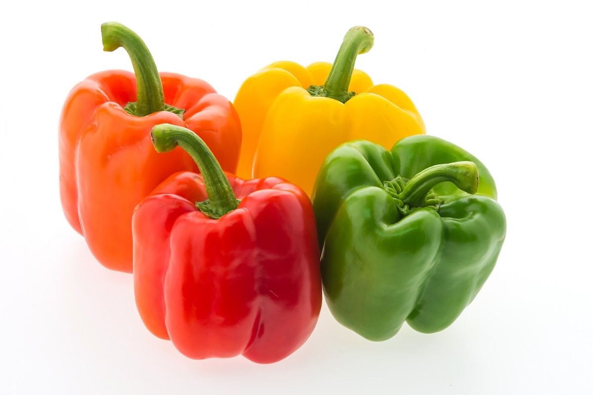Paprika berwarna merah, kuning, hijau, dan oranye