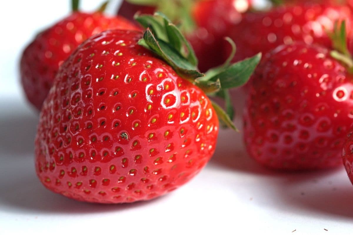 beberapa buah stroberi