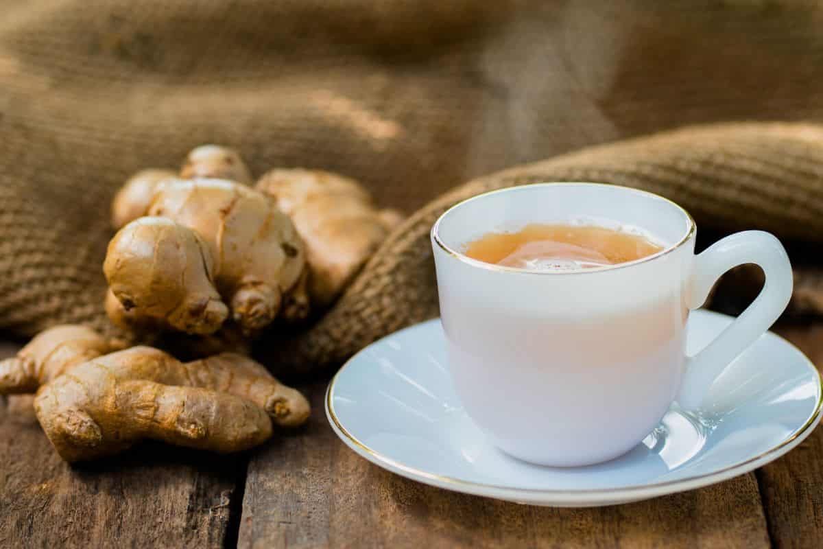 Secangkir wedang jahe hangat dan jahe segar di sekitarnya