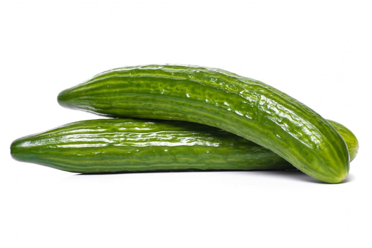 Dua buah zucchini segar